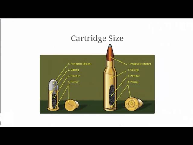Bullet Comparison | Calibers and Bullet Measurements Explained