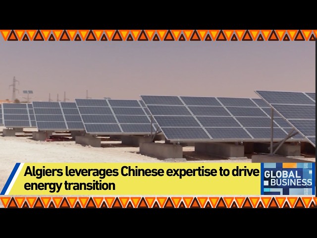 Algiers leverages Chinese expertise to drive energy transition