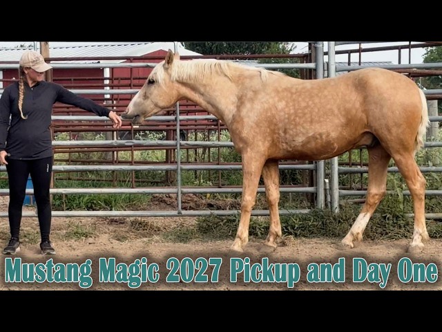 Wild Mustang Adoption and Day One | Mustang Magic 2027