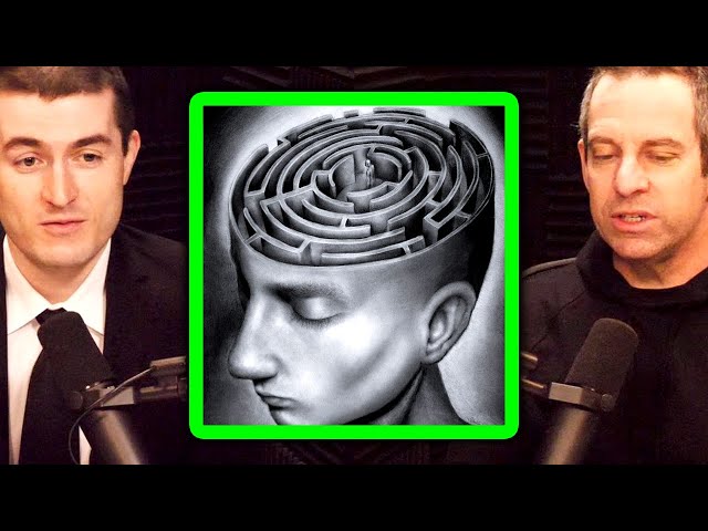 Where do thoughts come from? | Sam Harris and Lex Fridman