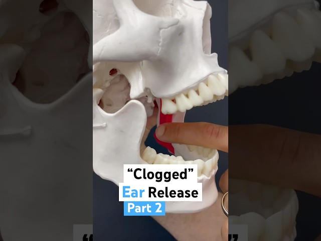 Part 2 of 2: Release your clogged ear. #earache #tmj #tmd #tinnitus
