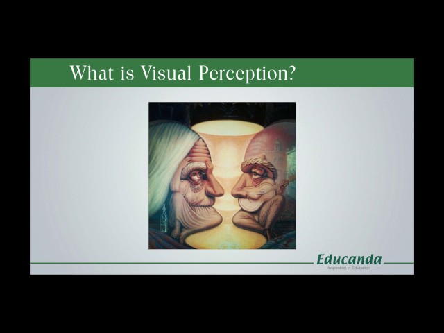 INTRODUCTION INTO VISUAL PERCEPTION