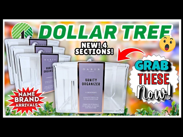 🔥 DOLLAR TREE HAUL Worthy Finds You NEED To GRAB Now! New STORAGE, Viral Squishy & Name Brands!