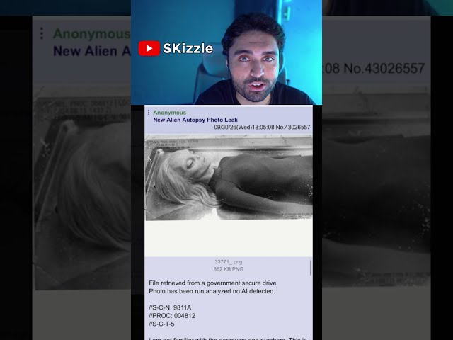 Alien Leak from Joe Rogan David Grusch Podcast about UFO Disclsoure & Aliens