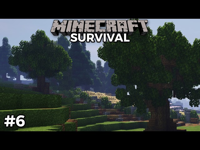 The Secret to Building Custom Minecraft Forests (BwJ #06)