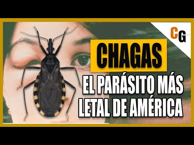 Mal de Chagas - El Parásito mas LETAL de América -  ¿Cómo funciona la Tripanosomiasis Americana?