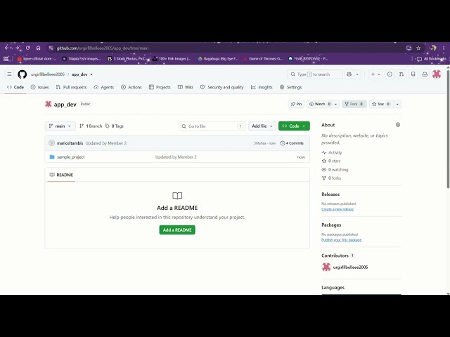 app dev activity
