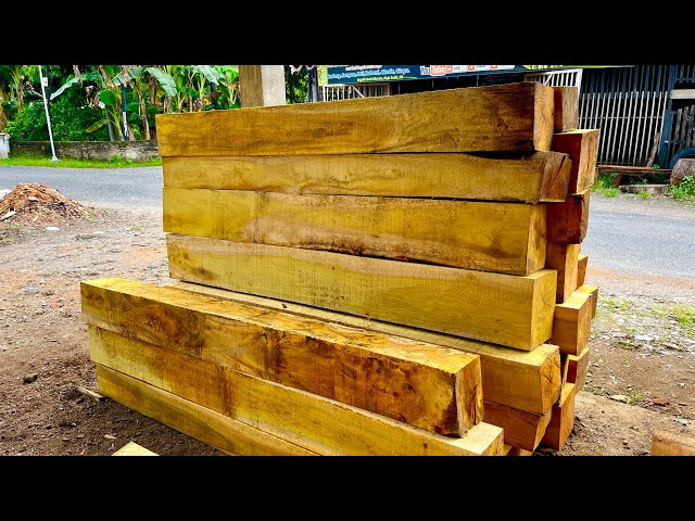 Abundant Fortune! Jackfruit Wood from Java's Tropical Forest Sawed into Export-Ready Blocks.