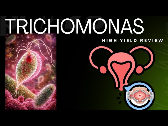 Trichomonas Vaginalis: Etiology, Symptoms & Diagnosis (Part 1) | USMLE & OBGYN High-Yield📚🩺✔️