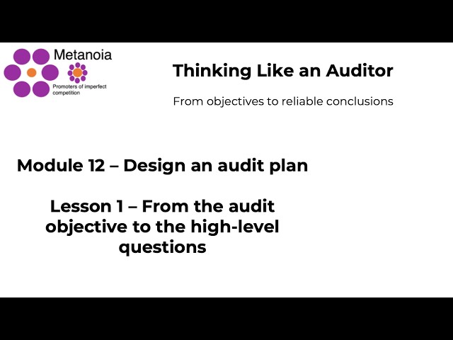 Module 12 - Design an audit plan (Lesson 1 - From the audit objective to the high-level questions)