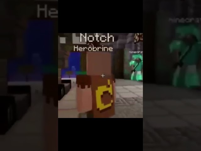 Minecraft Moment #minecraft