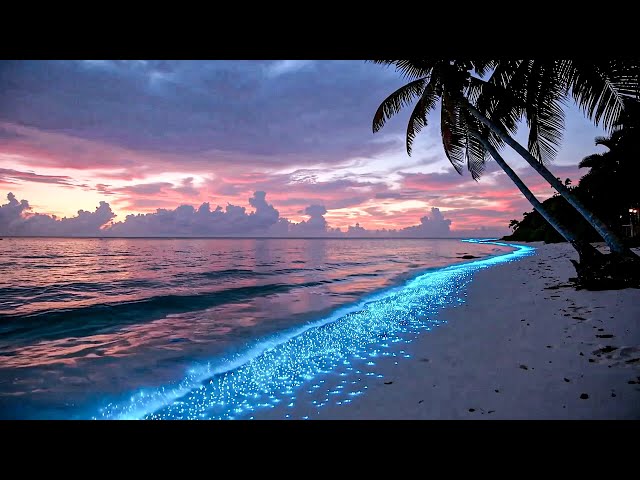 Relaxing Chill Music – Stress Relief Lounge Music | Background Music