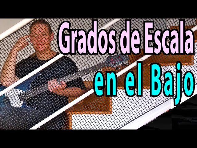 Los Grados Musicales explicados con el Bajo (bases de armonía/teoría musical para principiantes)