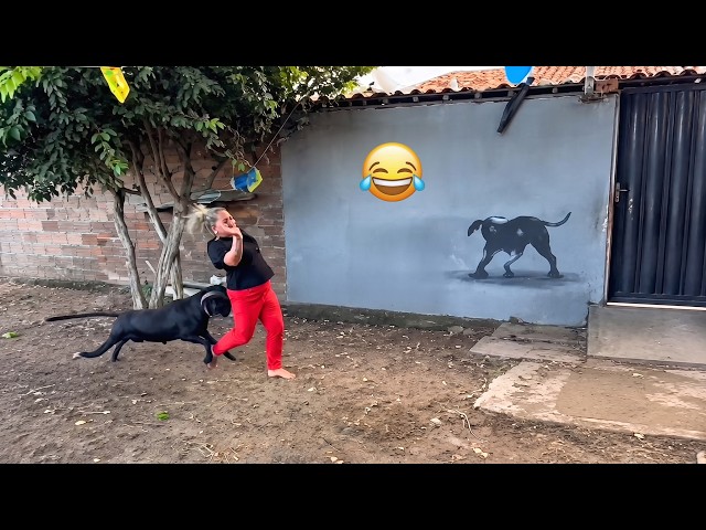 Try Not To Laugh 🤣 Top Funniest Moments & Epic Fails Compilation