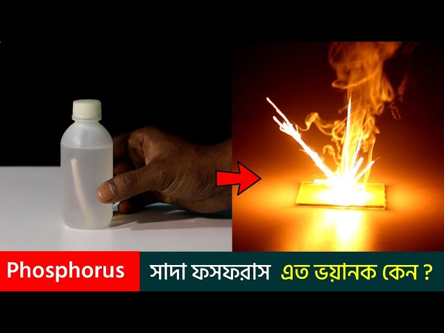 সাদা ফসফরাস এত ভয়ানক কেন? | ZERO IDEA