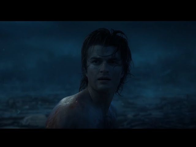Stranger Things - Steve Harrington (All Fights Season 1 - 4)