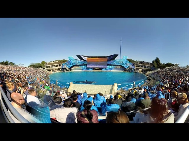 Seaworld One Ocean Orca Show 360-degree Video