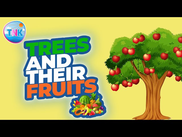 Trees and Their Fruits | Kids' Video |Topnotch Kids