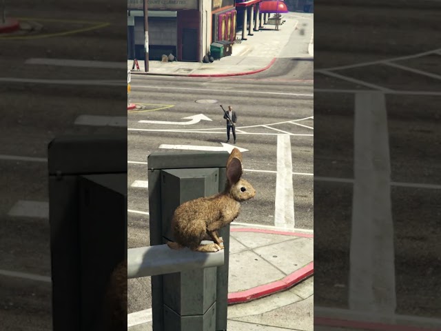 Ninja Rabbit Trolling in GTA 5 #gta5rp