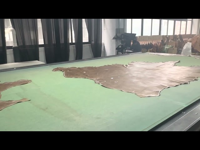 Smart Production of Leather hides for making leather chairs and sofas in China, Group 12