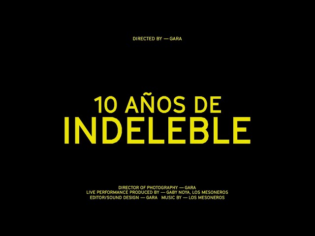 Los Mesoneros - Live 10 Años de Indeleble (Live Video)