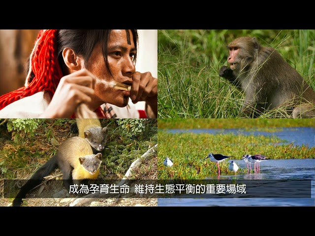 氣候變遷的守護者