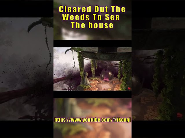 Cleared The Weeds To See The House