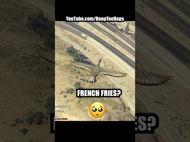 Trolling in GTA as a Bird