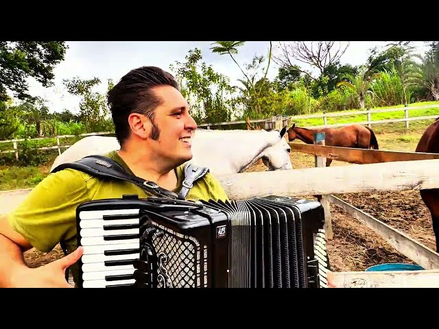 Puxando o fole no Haras