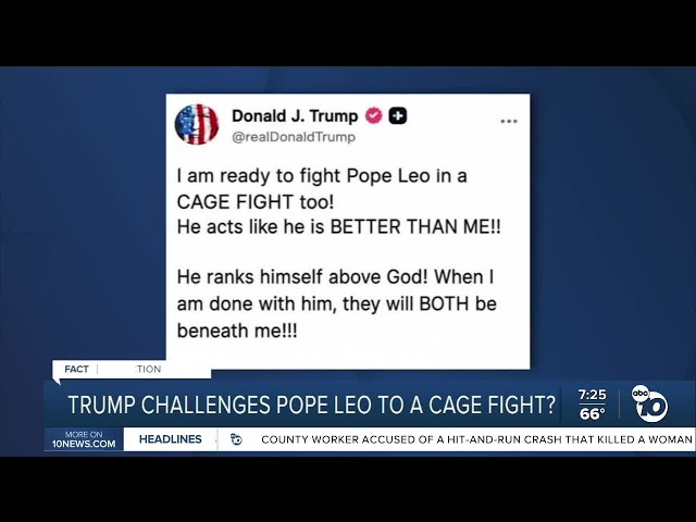 Fact or Fiction: Trump wants to fight Pope Leo in cage match?