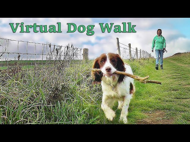Dog Walking TV - Virtual Dog Walk - Coastal Path