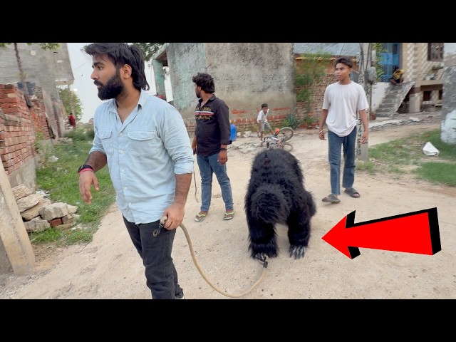 Ye konsa pet agya ?