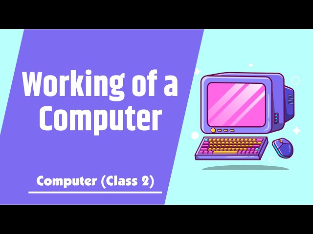 Working of a Computer | I-P-O Cycle of a Computer | Computer Classes for Class 2