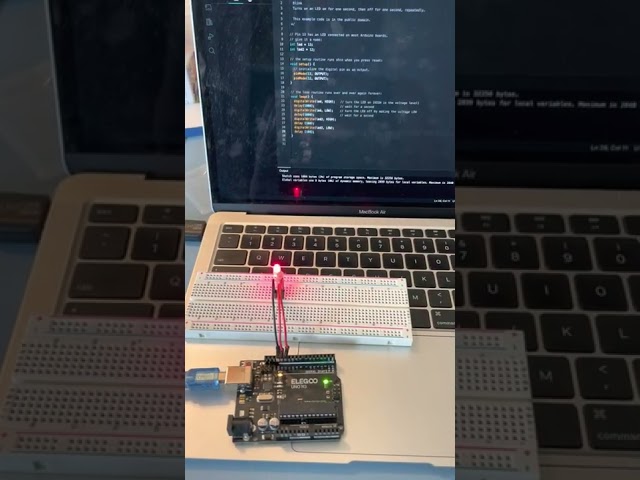 2 Blinking LEDs