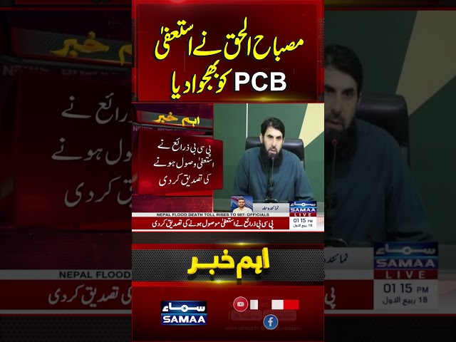 Misbah-ul-Haq resigns from PCB selection committee | SAMAA TV