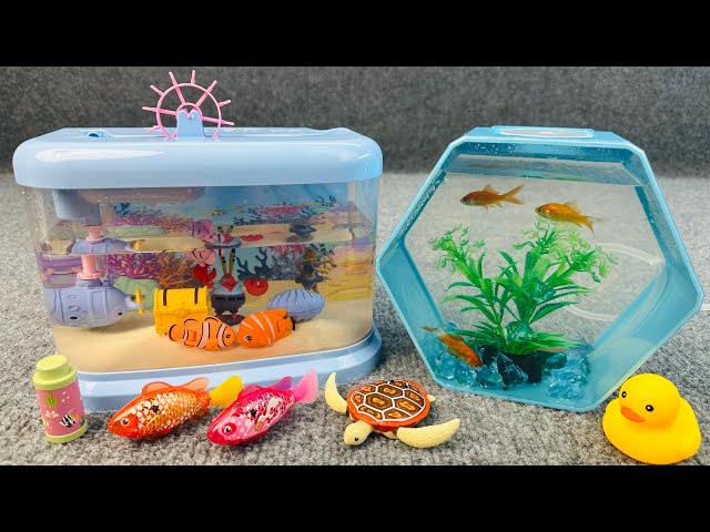 Satisfied Unboxing Fishing Aquarium Colorful Fish Marine Life Aquatic Toy ASMR | Toy Review