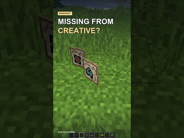 Creative Mode Is Missing These Minecraft Items #minecraft