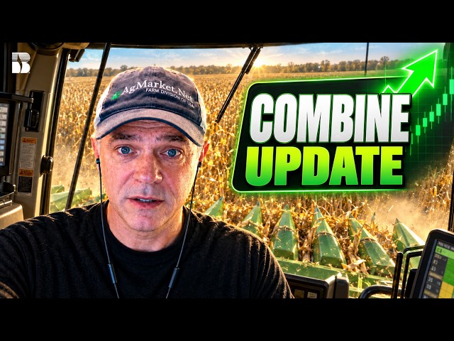 Combine Update: Picking Corn, Moisture Checks & Managing Scale Bushels
