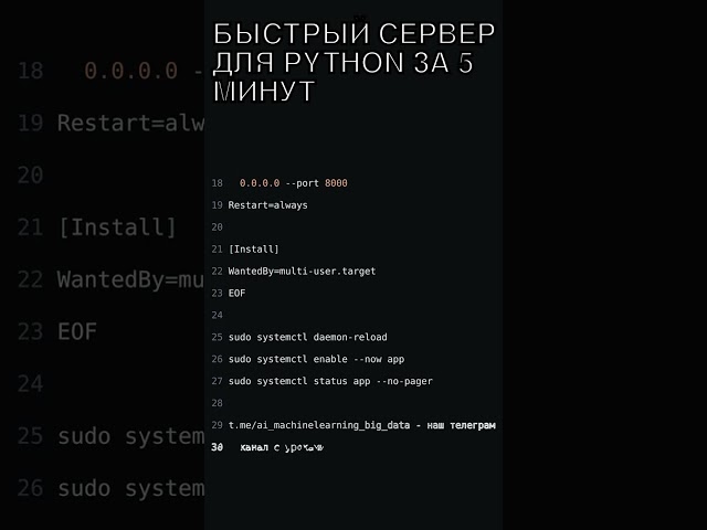 🔥  БЫСТРЫЙ СЕРВЕР ДЛЯ PYTHON ЗА 5 МИНУТ #linux #python  #coding