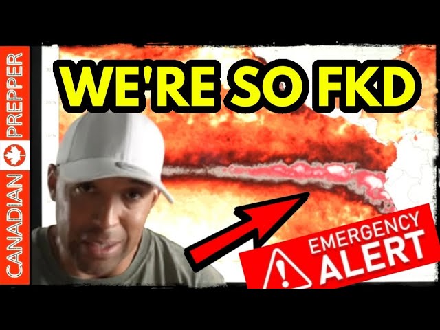 ⚡ALERT! THIS WILL GET UGLY. Stockpile as Much Food as You Can NOW 