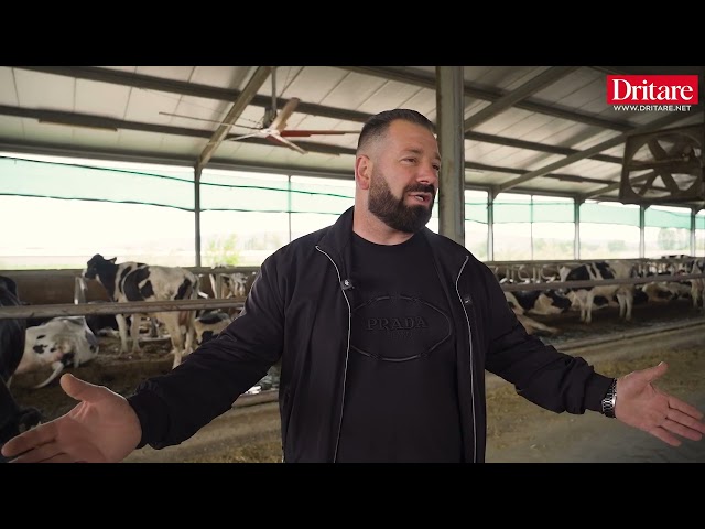 Nga diskotekat e Torinos te ferma e lopëve në Shkodër Historia e Mondit që zgjodhi të kthehet