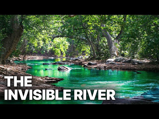 The Invisible River | Extraordinary Biodiversity