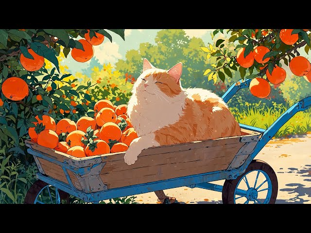 Lazy Like A Cat 🍊 Lofi Morning Vibes 🍊 Summer Lofi Songs To Make You Feel The First Scent Of Summer