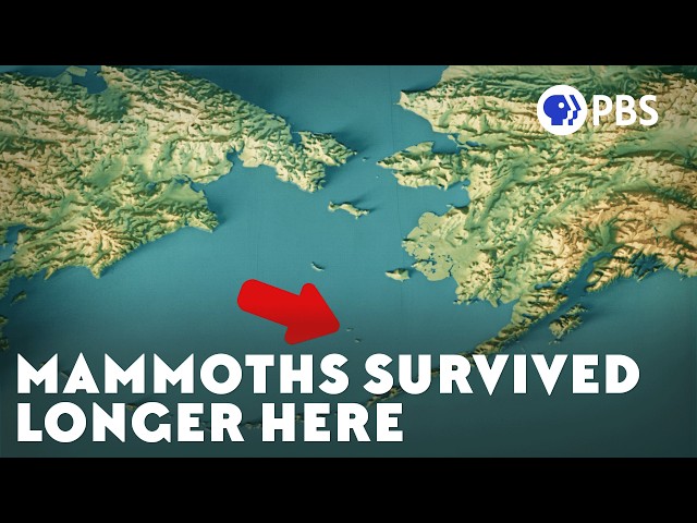 Did These Mammoths Dig Their Own Grave?