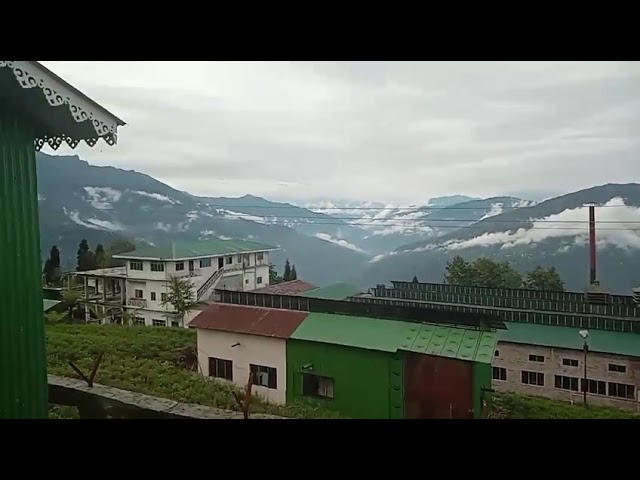 Beautiful Tami. Have u ever visited. #Sikkim #trending #sikkimtour #tour #vlog #Tami #reels #viral