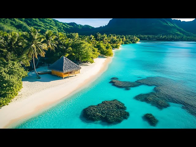 Tropical Paradise DRONE FOOTAGE HD - Beautiful Beach & Island Landscapes Footage HD