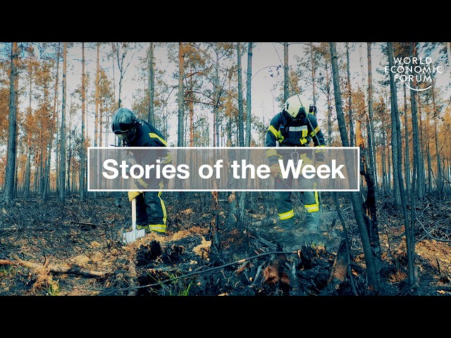 The Innovators Fighting Wildfires & AI Teacher Training in New York | WEF | Top Stories of the Week