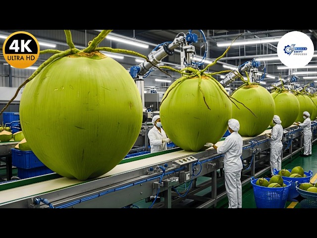 High-Tech Coconut Factory: From Fresh Coconuts to Premium Water (Full Process)
