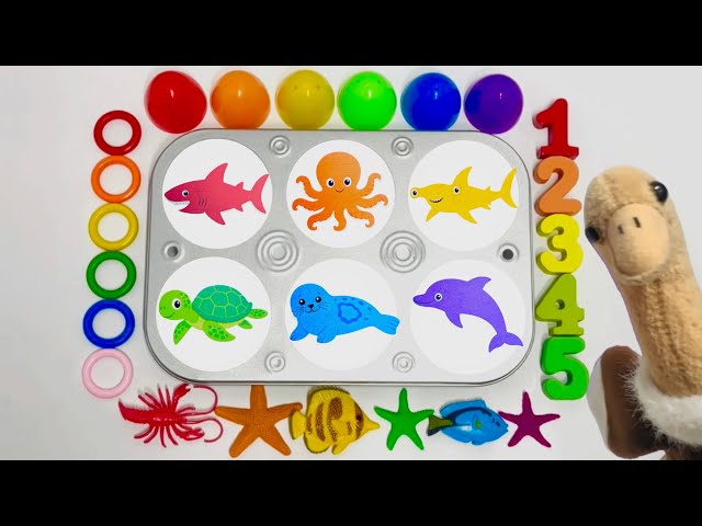 Ocean Animal Learning Activity | Learning Numbers, Counting, Sorting, & more! | Educational Video