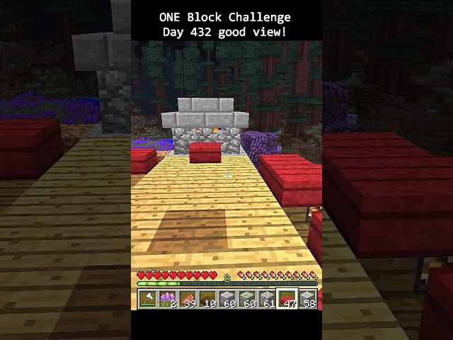 Day 432 Minecraft build challenge - ONE BLOCKS HOUSE BUILD in Minecraft 1.7